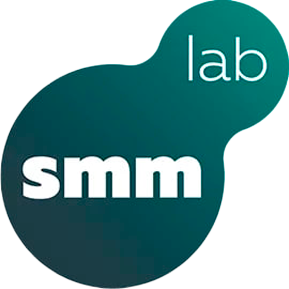  SMM Lab 