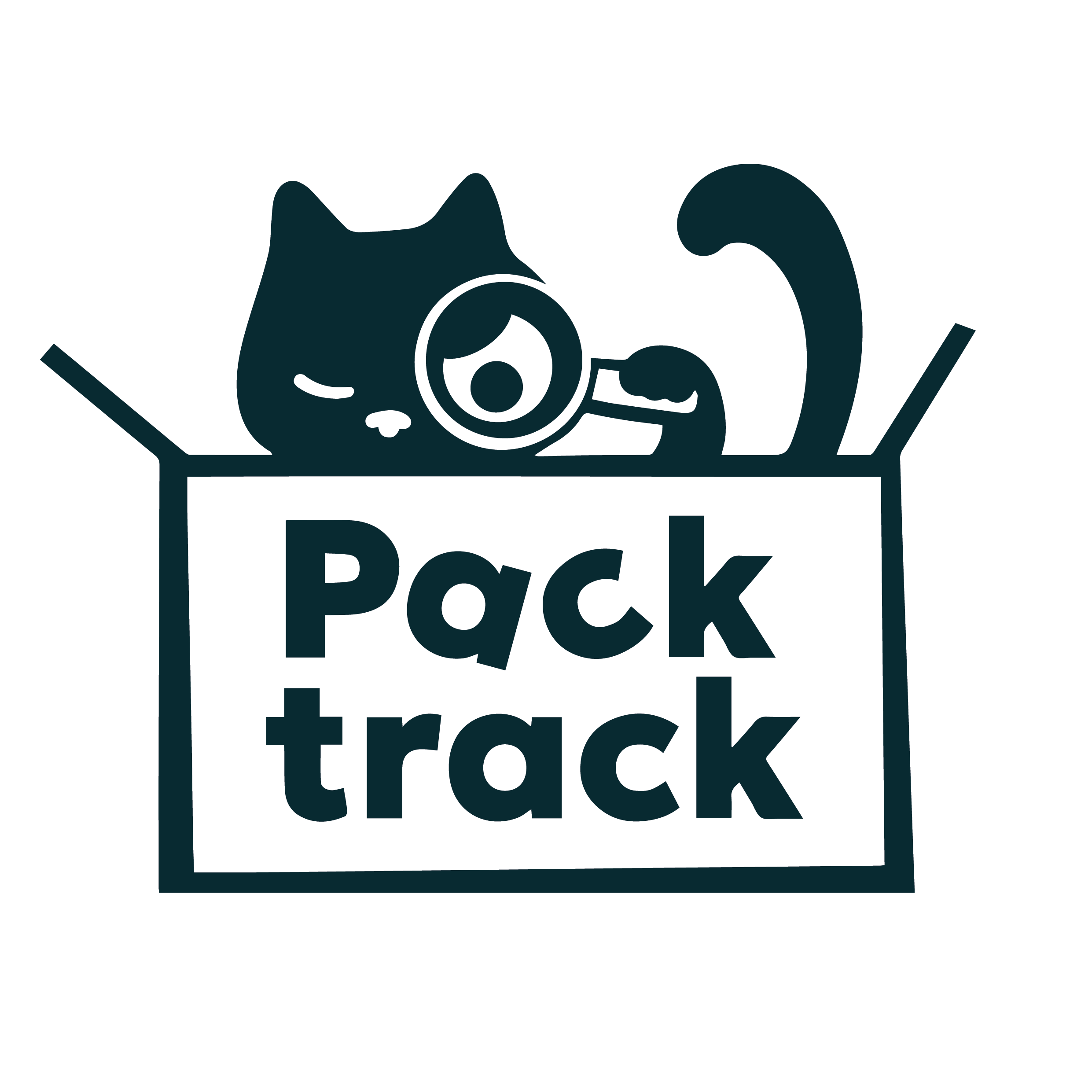 Packtrack - дизайн упаковки от идеи до запуска в печать макета