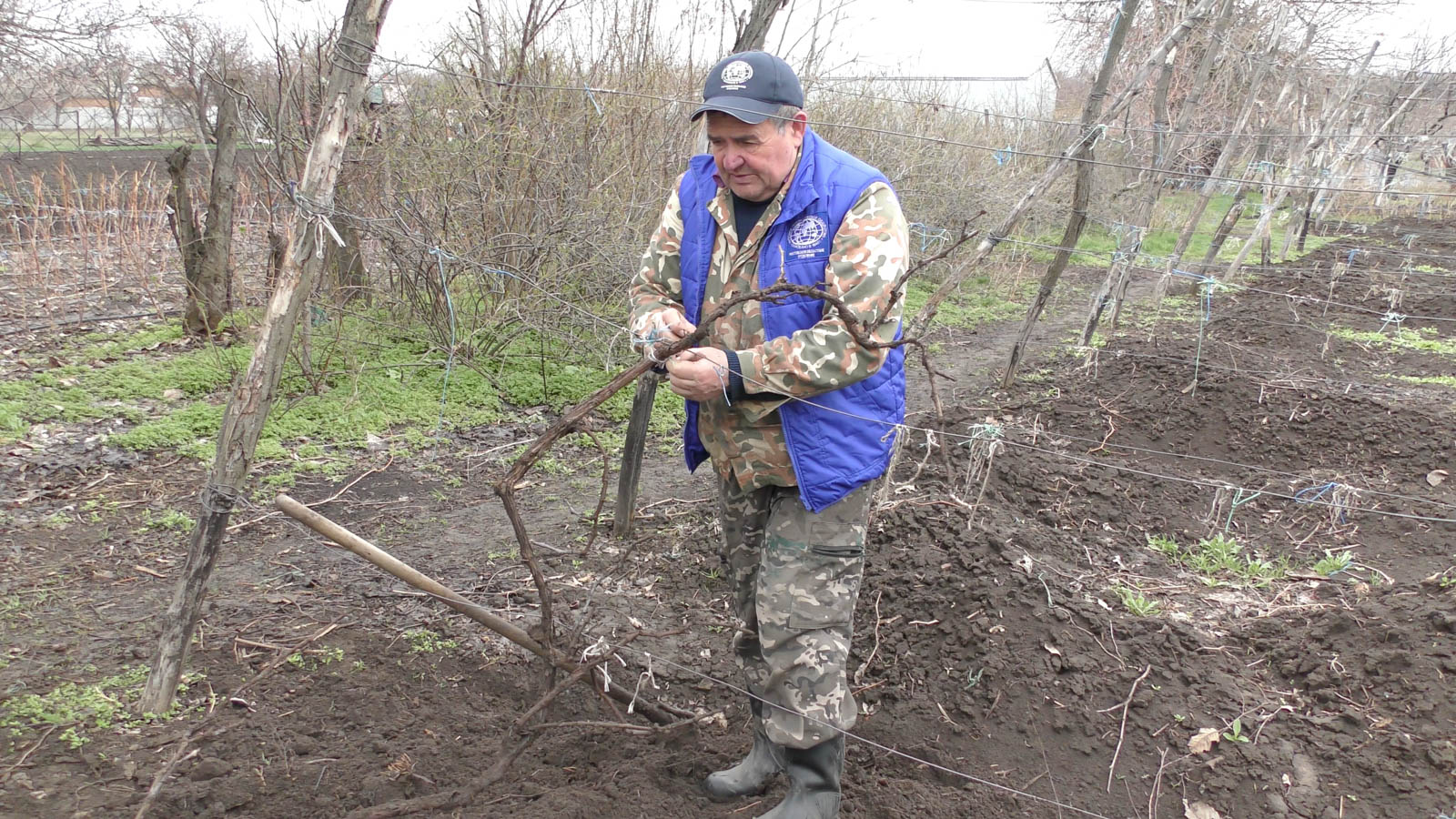 Экспедиция Золотые горки. Дорогами донских автохтонов