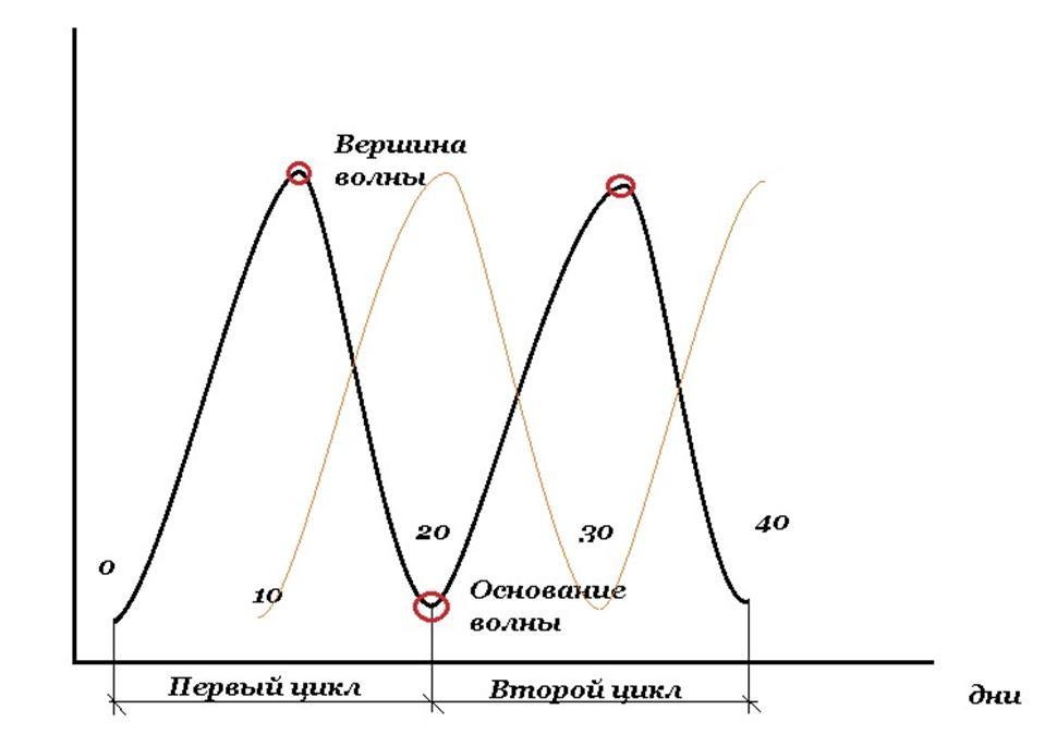 Частота фаза амплитуда