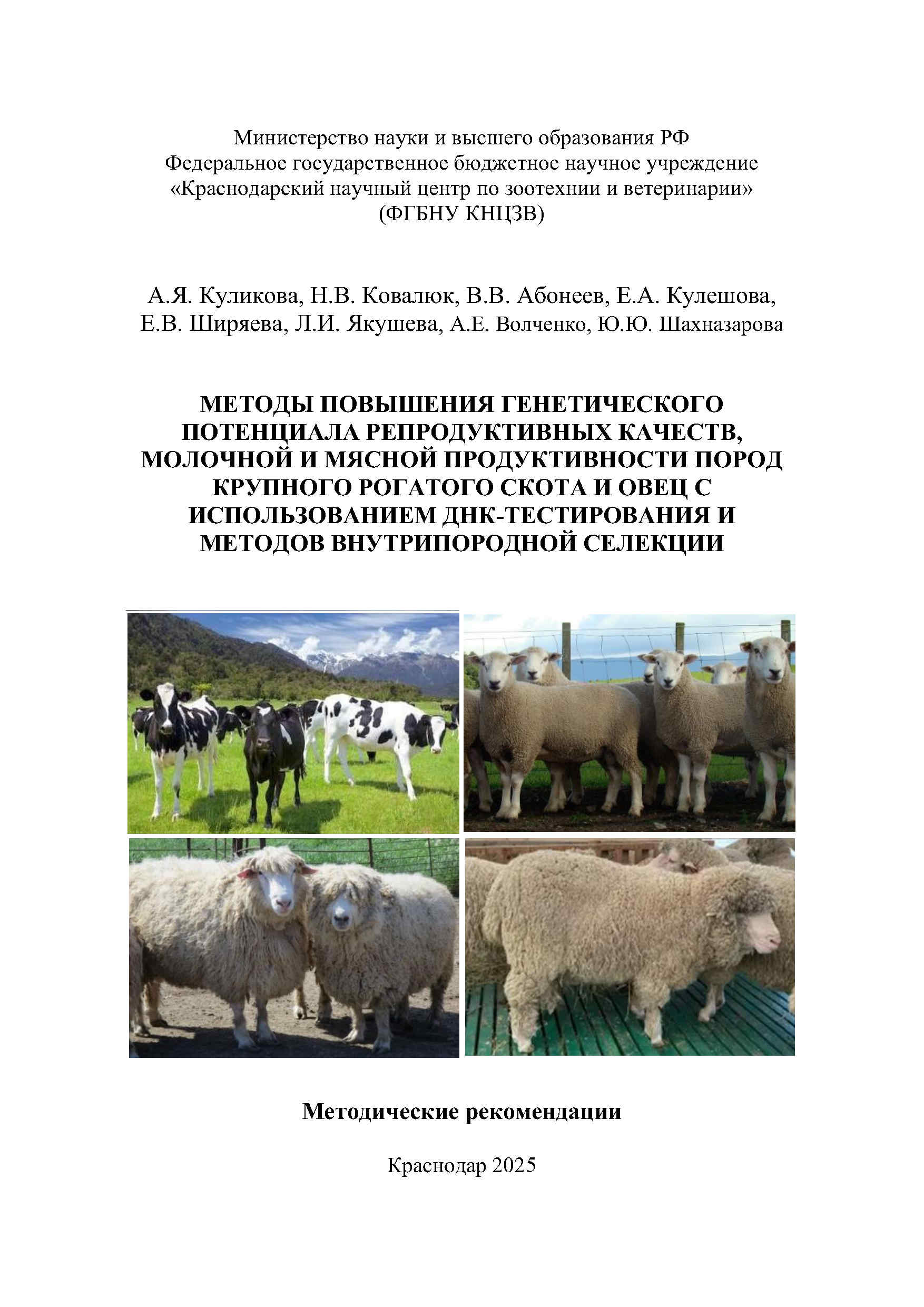 молочная и мясная порода, повышение репродуктивных качеств, днк-тестирование, внутрипородная селекция, учебное пособие, монография, методические рекомендации, Краснодарский научный центр по зоотехнии и ветеринарии, ФГБНУ КНЦЗВ