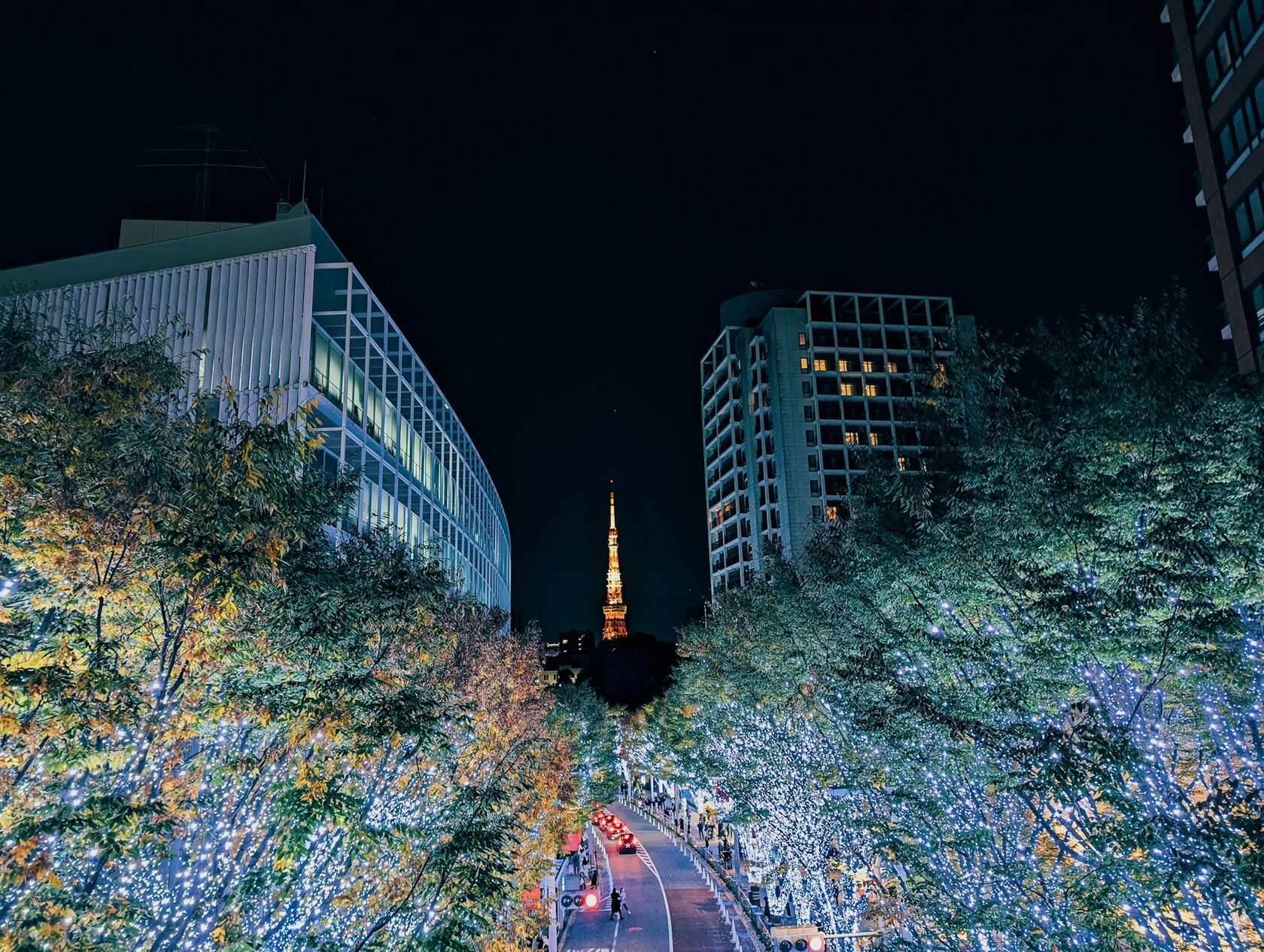 Modern urban christmas tree winter street
