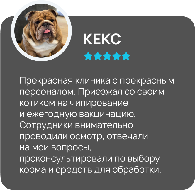Центр здоровья животных, ветеринарная клиника, ветеринарная клиника в Туле, ветклиника центр здоровья животных, ветклиника, ветклиника тула, стерилизация собак Тула, стерилизация кошек Тула, врач ветеринар на дом, врач ветеринар на дом Тула, врач для животны, врач для животных Тула, врач по почкам ветеринар, врач хирург ветеринар, Тула ветеринар, Ветеринарная больница Тула, Тула лечение животных, Тула вакцина собаке, Тула вакцина кошке, стерилизация Тула, кастрация Тула, груминг Тула, зоогостиница Тула, передержка животных Тула, ветеринарная аптека Тула, ветеринарный врач Тула, лечение животных, вакцинация, стерилизация, кастрация, кастрация собак, кастрация кошек, кастрация Тула, кастрация собак Тула, кастрация кошек Тула, груминг, груминг Тула, зоогостиница, передержка животных, ветеринарная аптека.