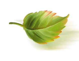 Малый листик в работах