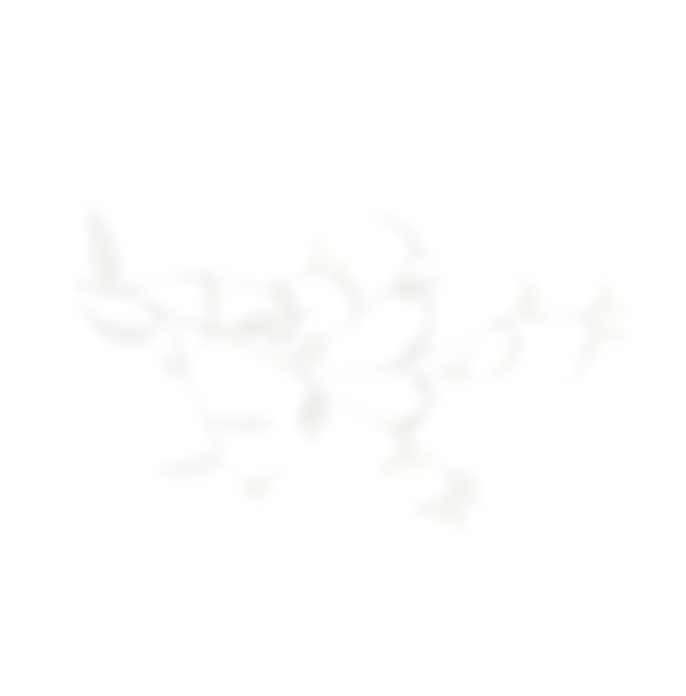 натуральная косметика, магазин профессиональной косметики, крем для ног, крем для ног с мочевиной, крем для ног купить, масло для ногтей, масло монарды для ногтей, масло для ногтей купить, косметика для ногтей, дезодорант для ног