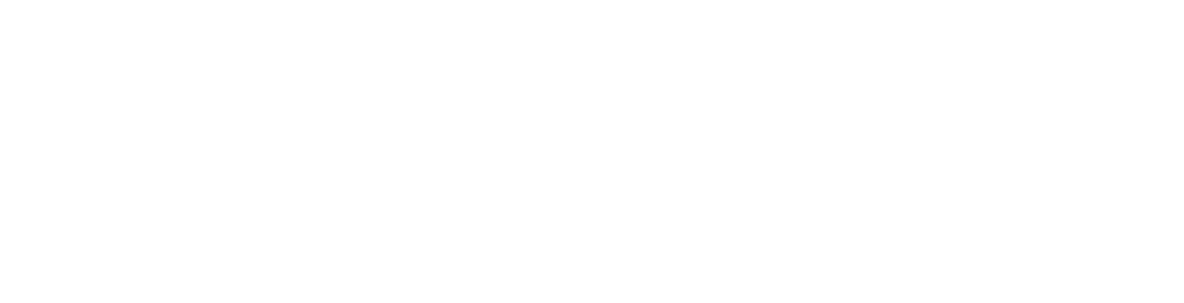 Эмир Кустурица