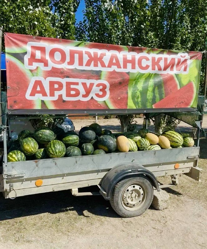Прицеп с должанскими арбузами