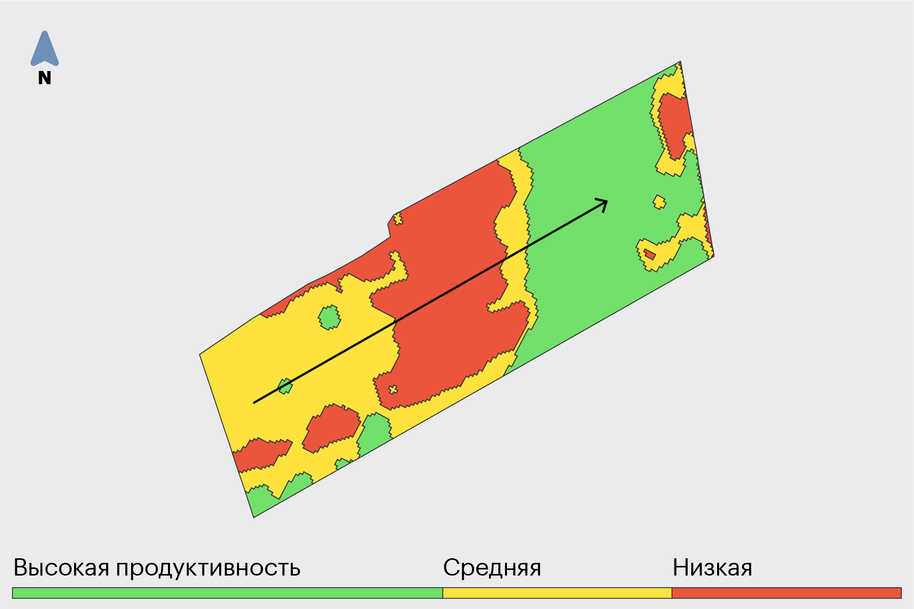 анализ полевой работы (100) фото