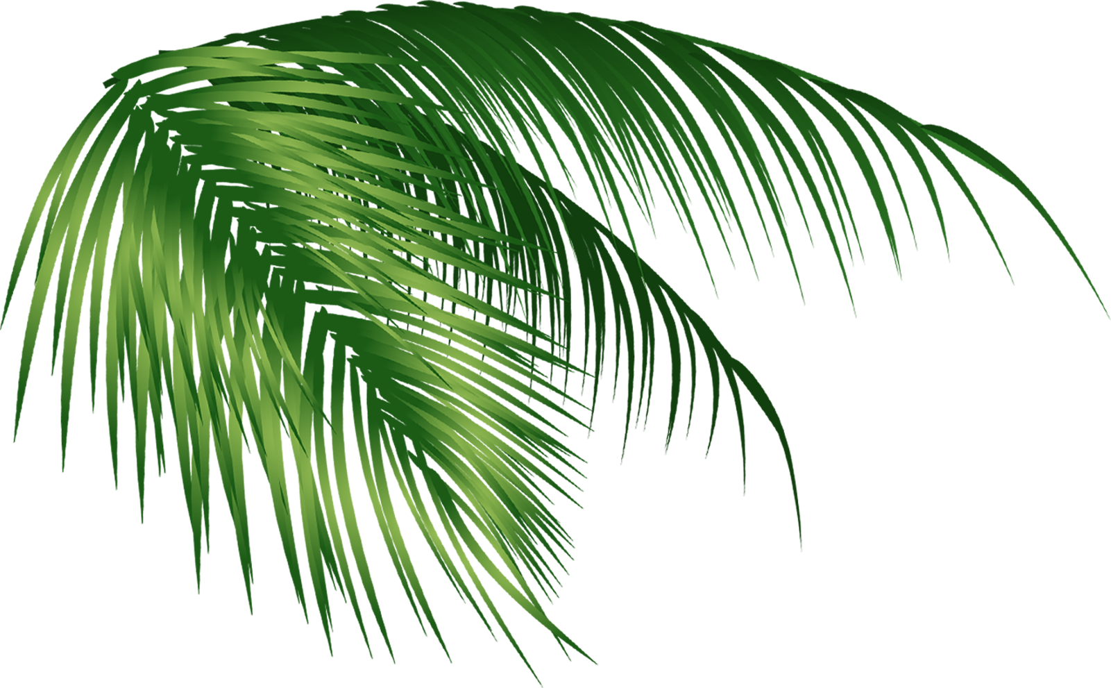 Игровое Квест-Шоу \"Остров Дискавери\"