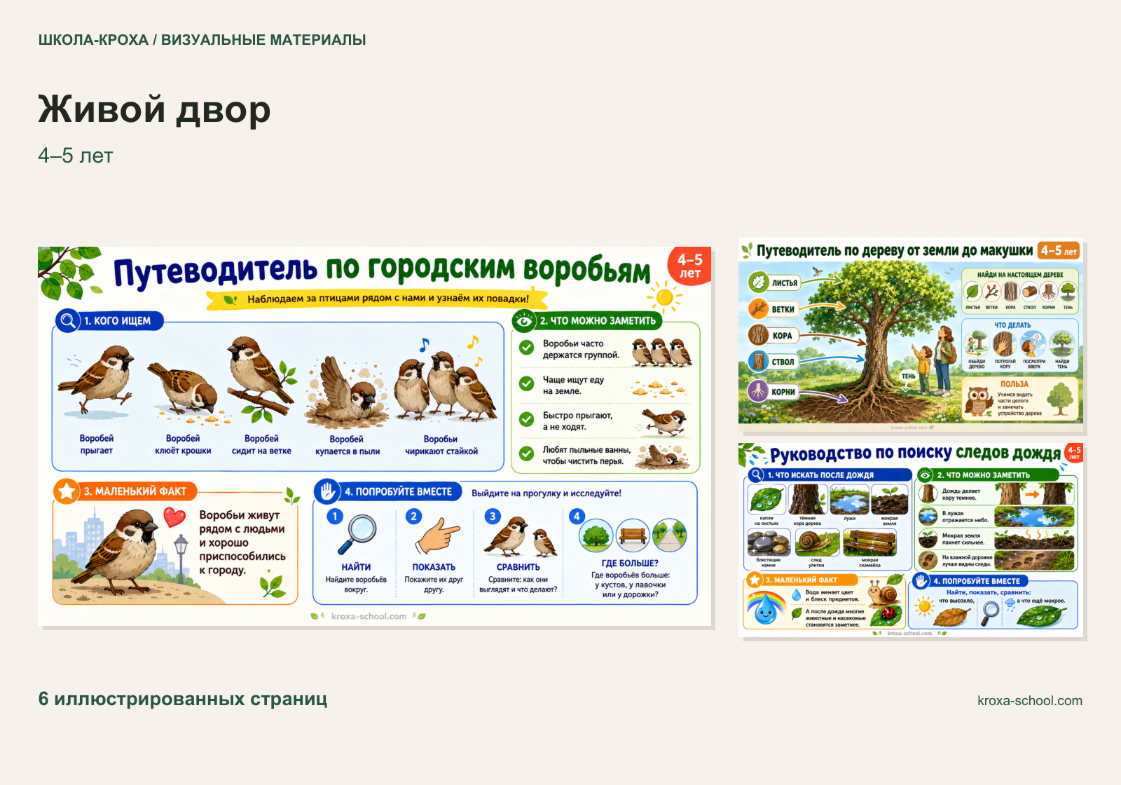 Наблюдения на прогулке для детей 4–5 лет