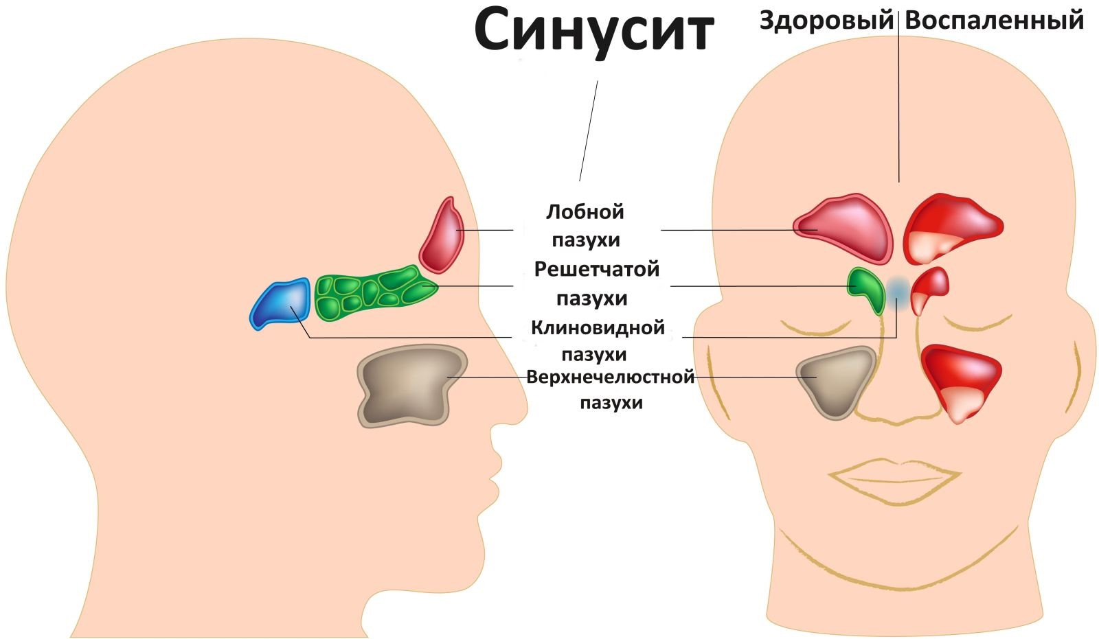 Недетская игра: нажми 