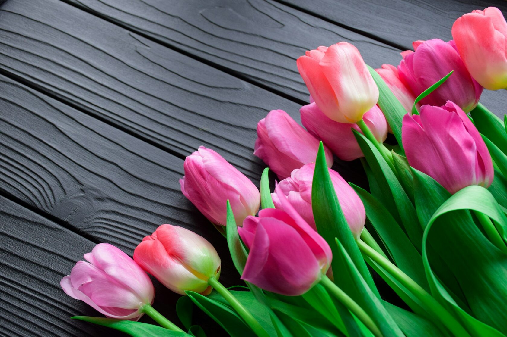 Women's Day flowers