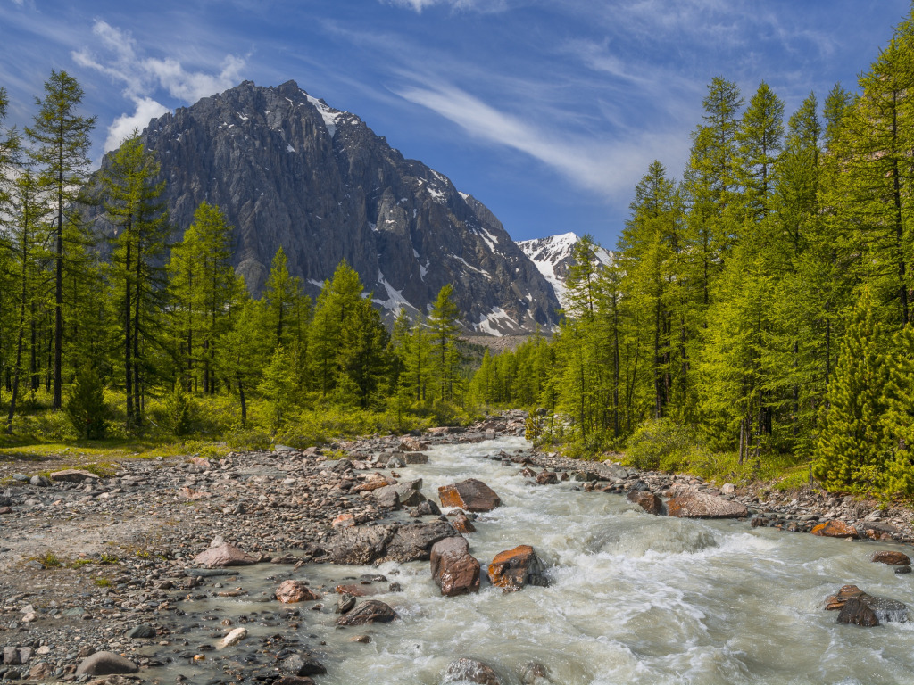 Алтай горы река небо деревья Актру