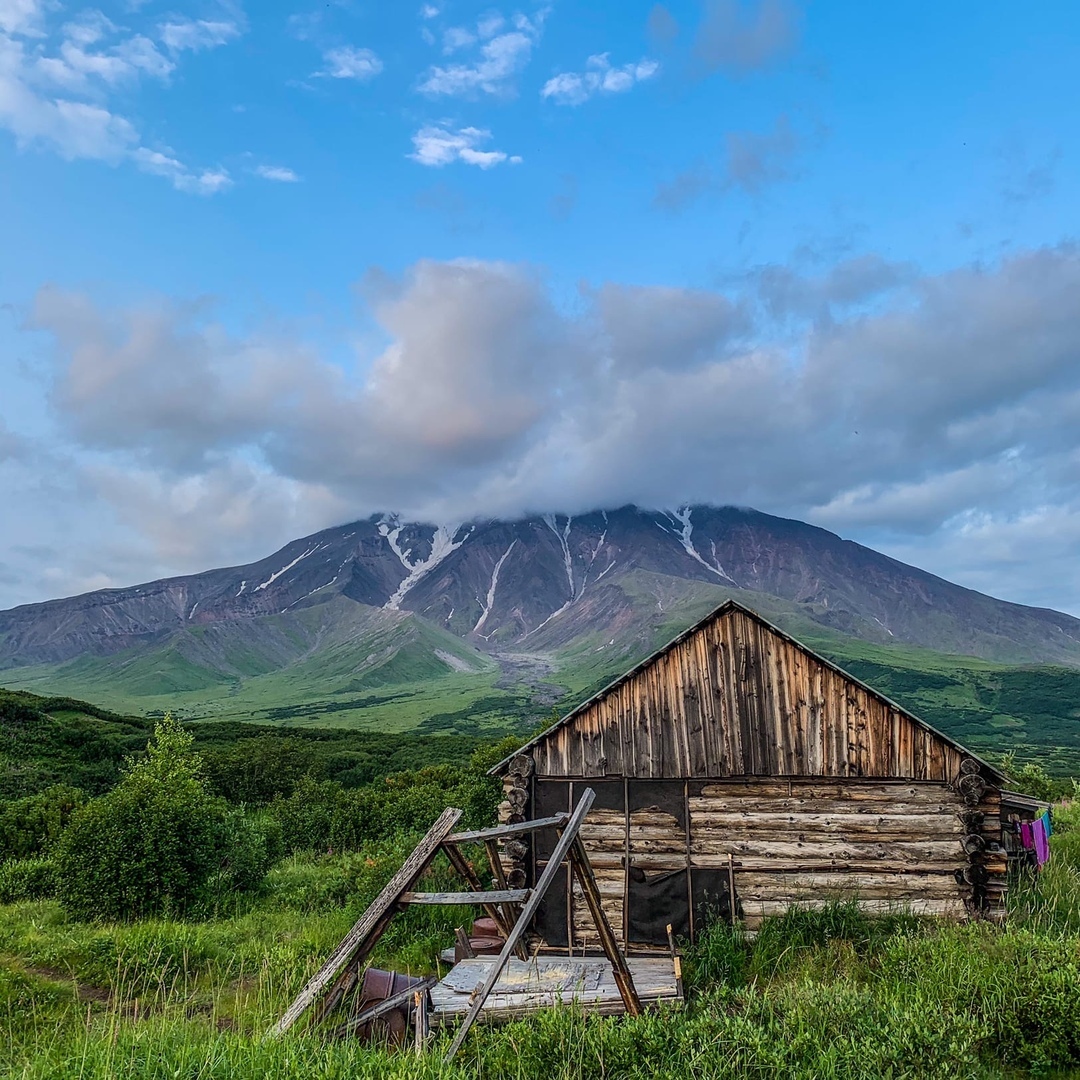 Камчатка Тайга