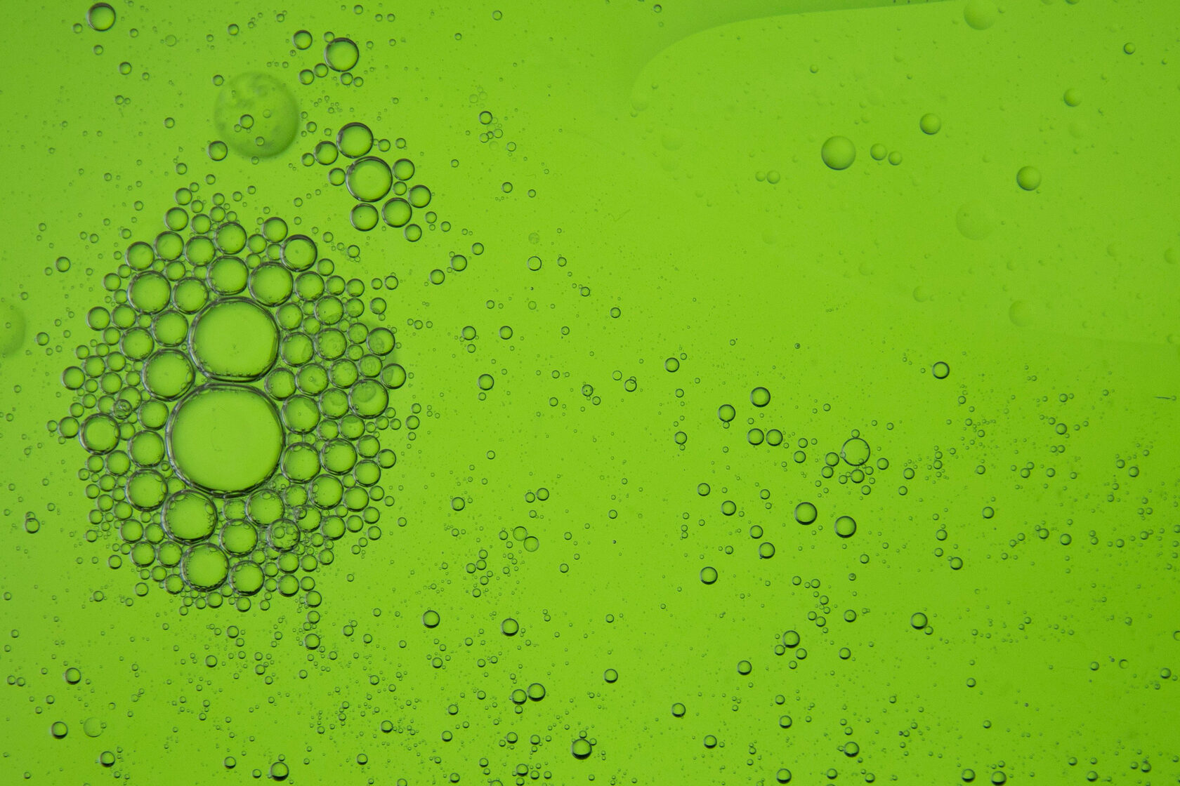 Разработка фирменного стиля производителя суперфуда