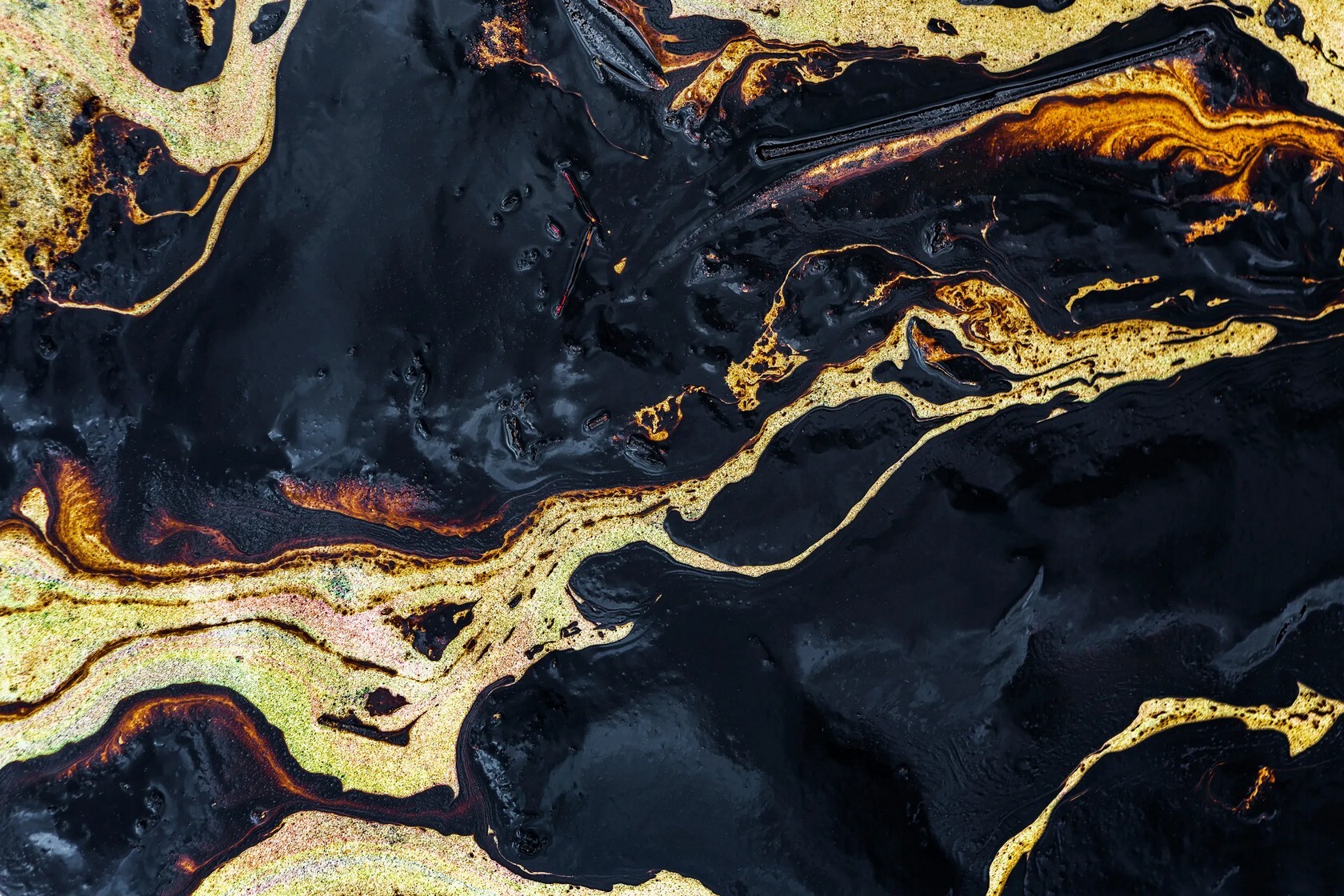 Новосибирские инженеры создали станцию для очистки дна от нефти
