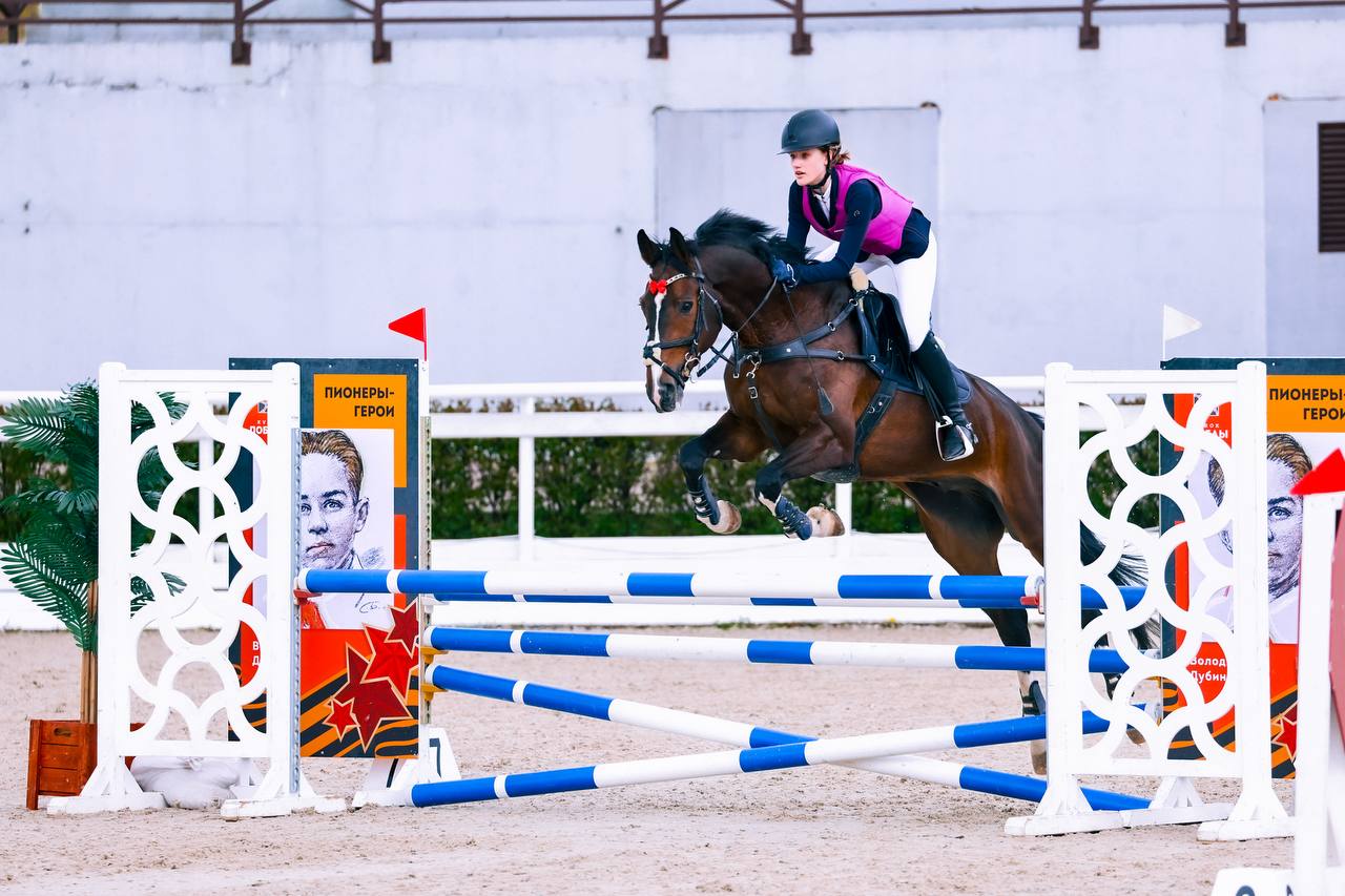 Всадница на темной лошади в момент прыжка через синие жерди на соревнованиях по конкуру
