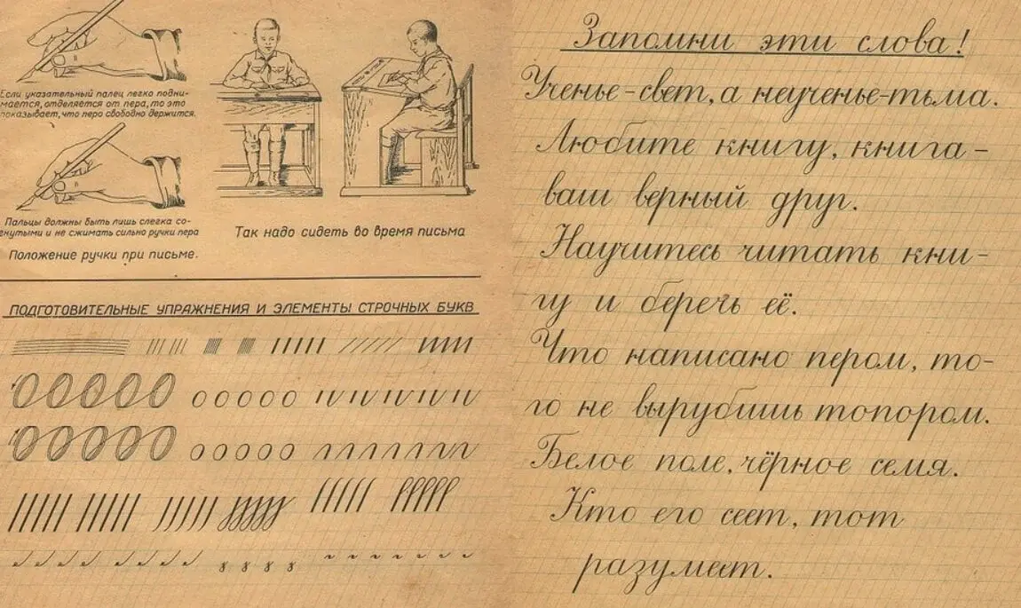 Зачем необходимо чистописание в современных школах?