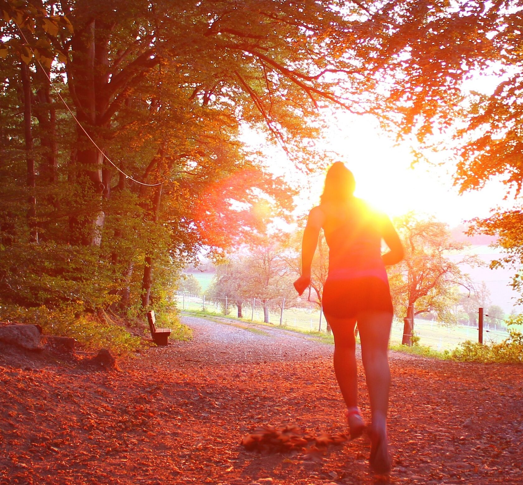 a woman on a run on a trail in the forest with leaves on the ground and sun shining through the trees at sunset