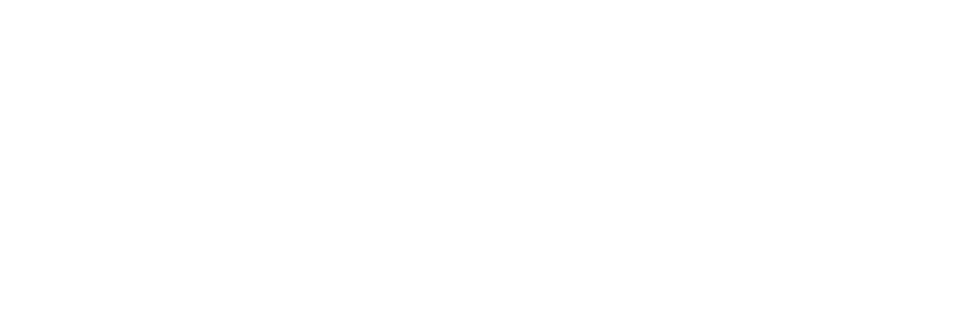 SNF Schneidteufel