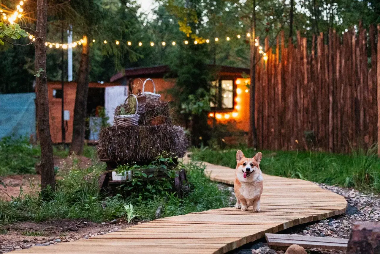 Ягодка-Малинка, глэмпинг