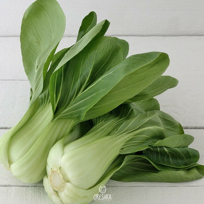 Seeds of Cabbage Chinese Swan (Pak Choi white) (Brassica rapa subsp. Pekinensis) — 30 pcs