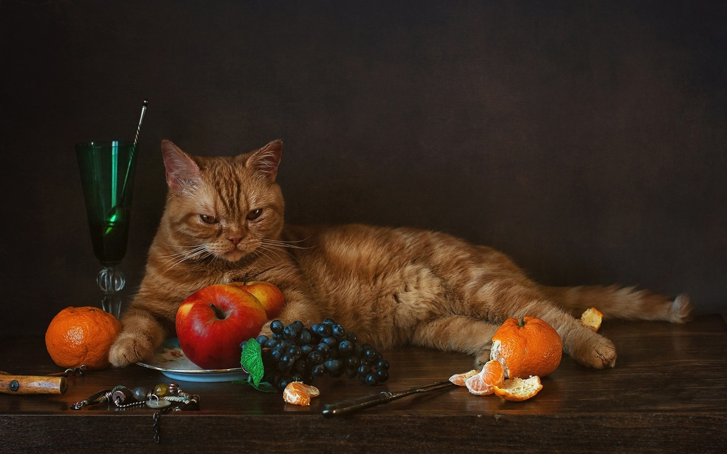 витамины коту, витамины кошке, какие витамины коту, какие витамины кошке, витамины котенку