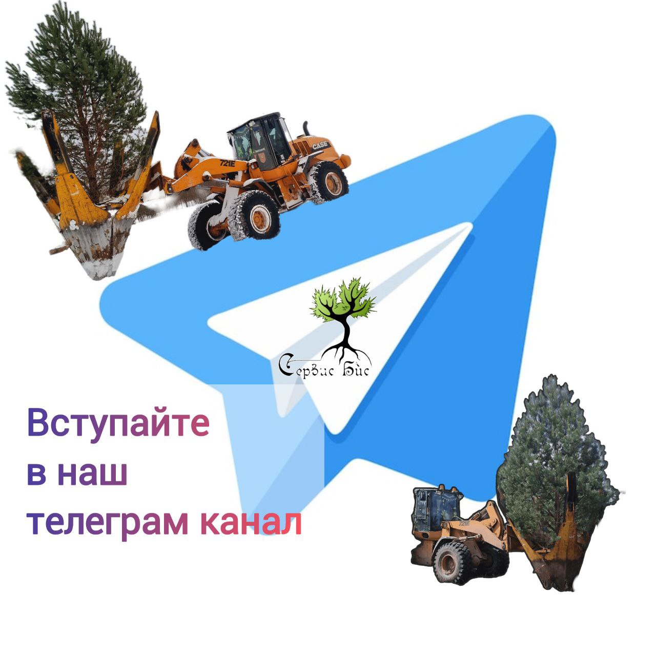 телеграм канал питомник деревьев Сервис БиС