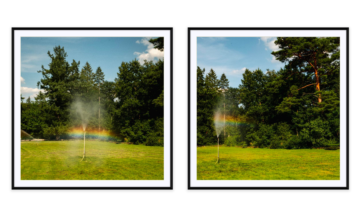 a diptych of framed photographs 