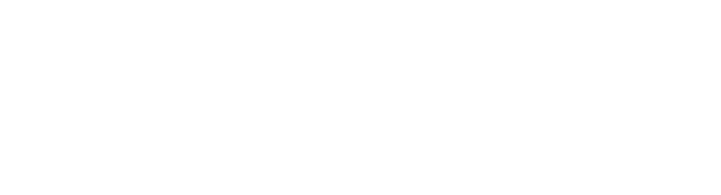 Novikov School