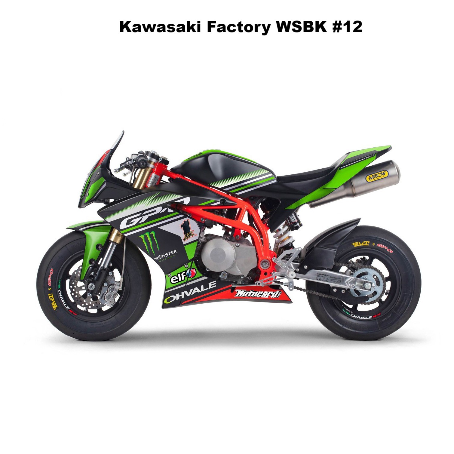 Ohvale Kawasaki Factory WSBK design