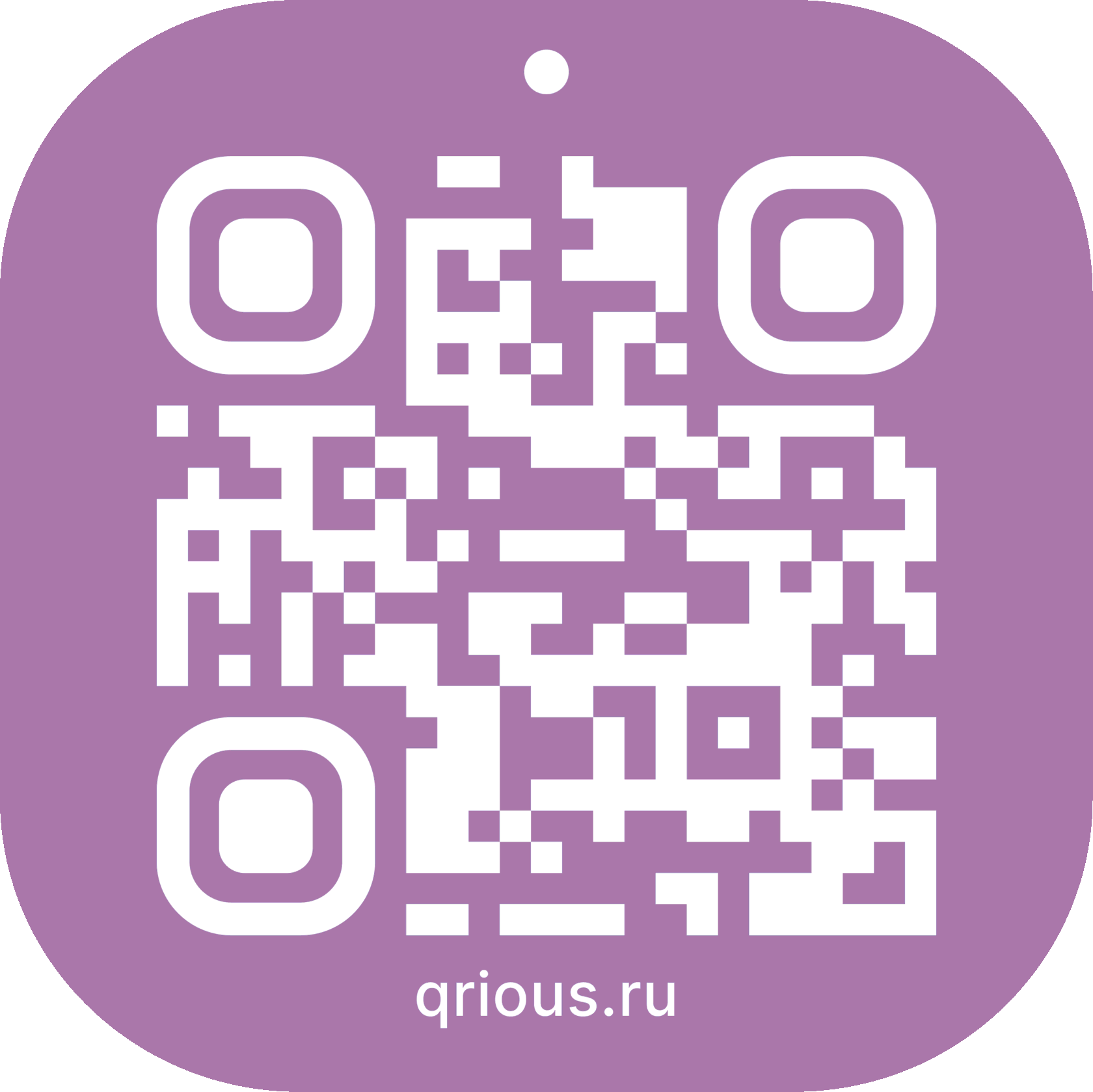 Адресник для животных с QR-кодом