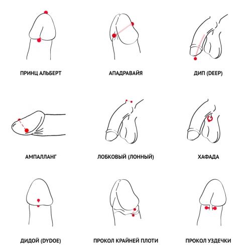 Есекке нәзік қараңыз