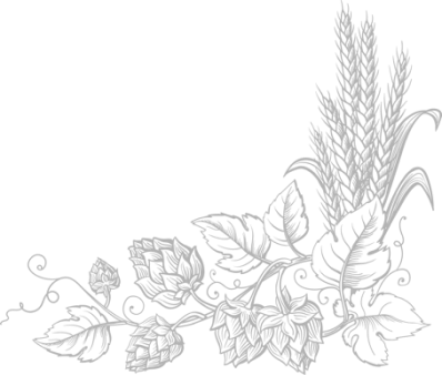 Пивоварня HopfenBerg