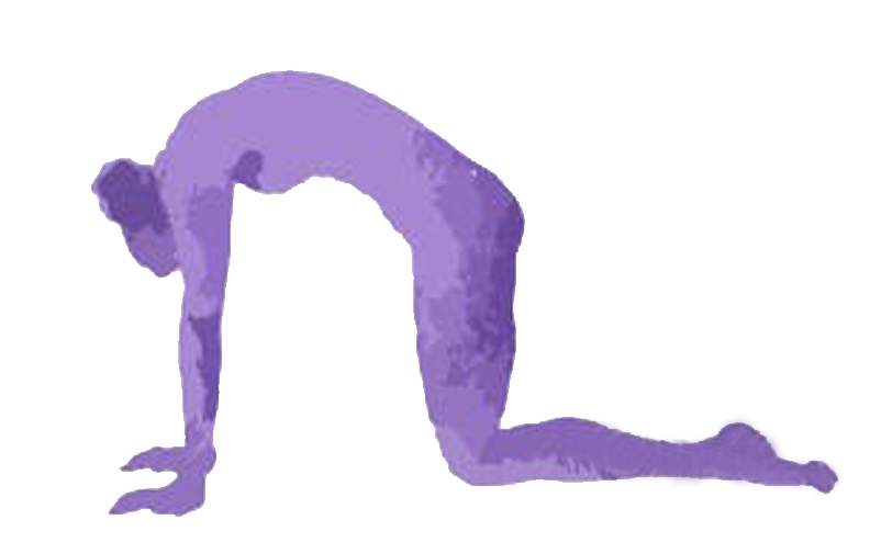  Natural Yoga project