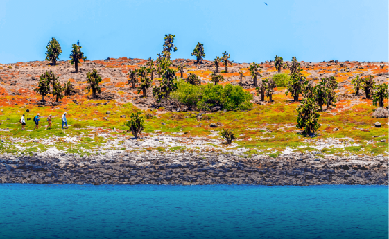 Санта-Фе. Остров на Галапагосах