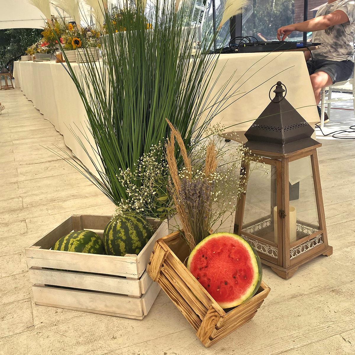 пикник фрукты ягоды оформление