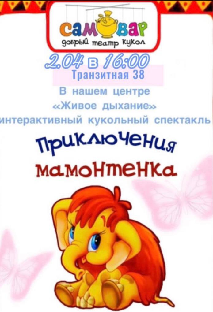 Детский театр кукол "Самовар" - Simon Einstein