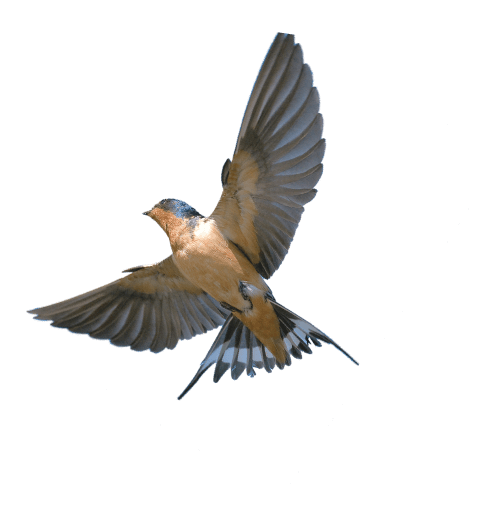 Ветеринарная клиника Ставрополь