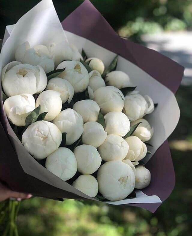 25 peonies with delivery