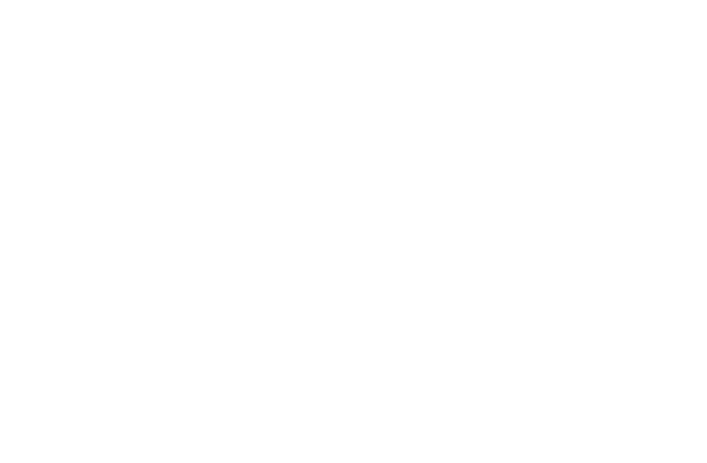 logo wysh