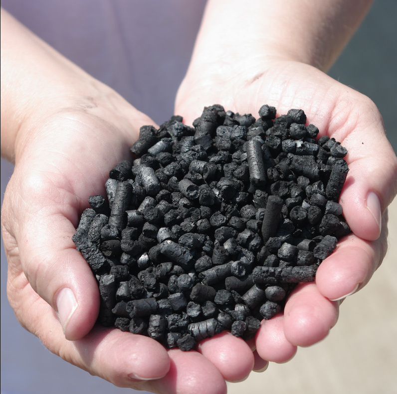 МГУ, биоуголь, почва, репетиторы онлайн, РЦ МГУ, репетиторский центр, репетиторы, подготовка к ОГЭ, подготовка к ЕГЭ