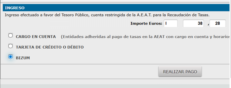 Sección INGRESO — selección Bizum y botón REALIZAR PAGO