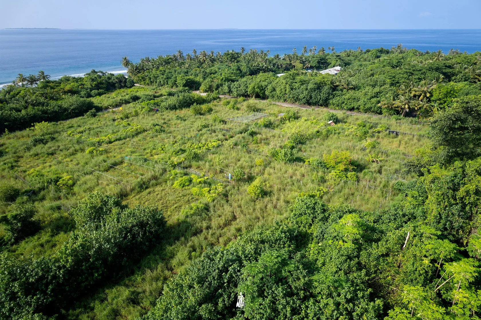 Noomaraa (Нумараа) — вид сверху, атолл Shaviyani