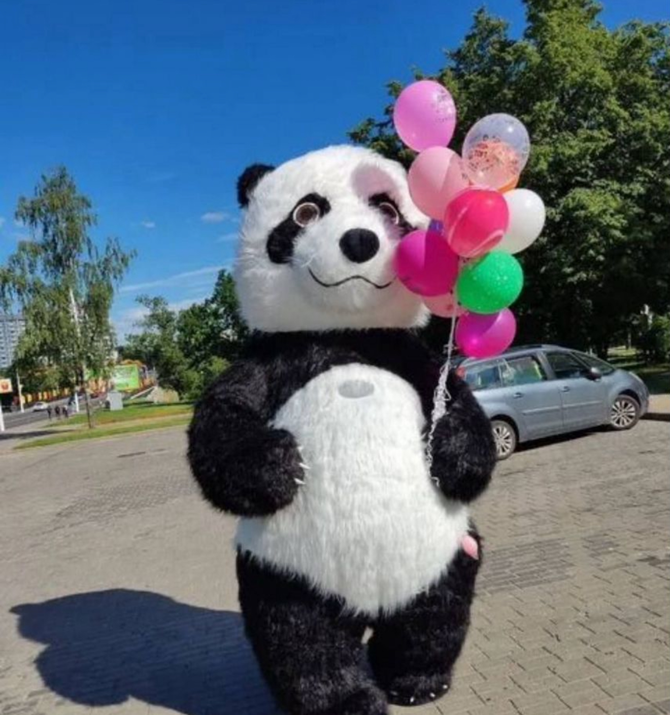 Панда на выписку из роддома Тула
