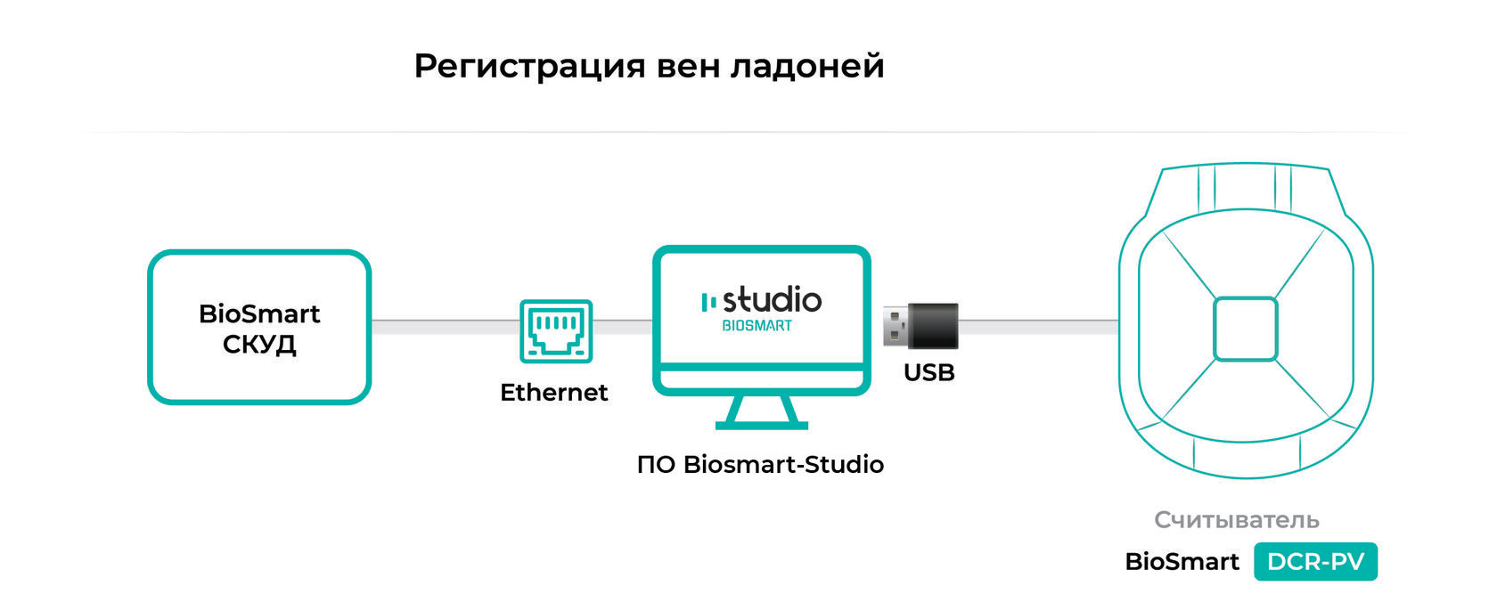 BioSmart DCR-PV – биометрический считыватель купить по лучшей цене от  Биосмарт