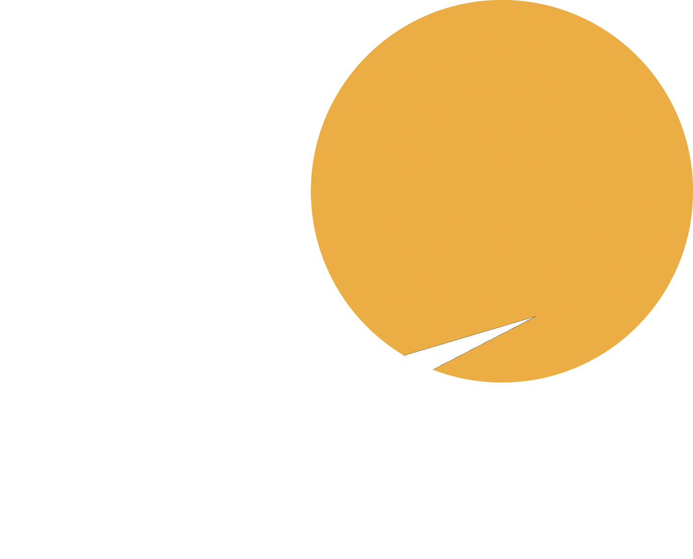 Логотип ЖК Новая Самара