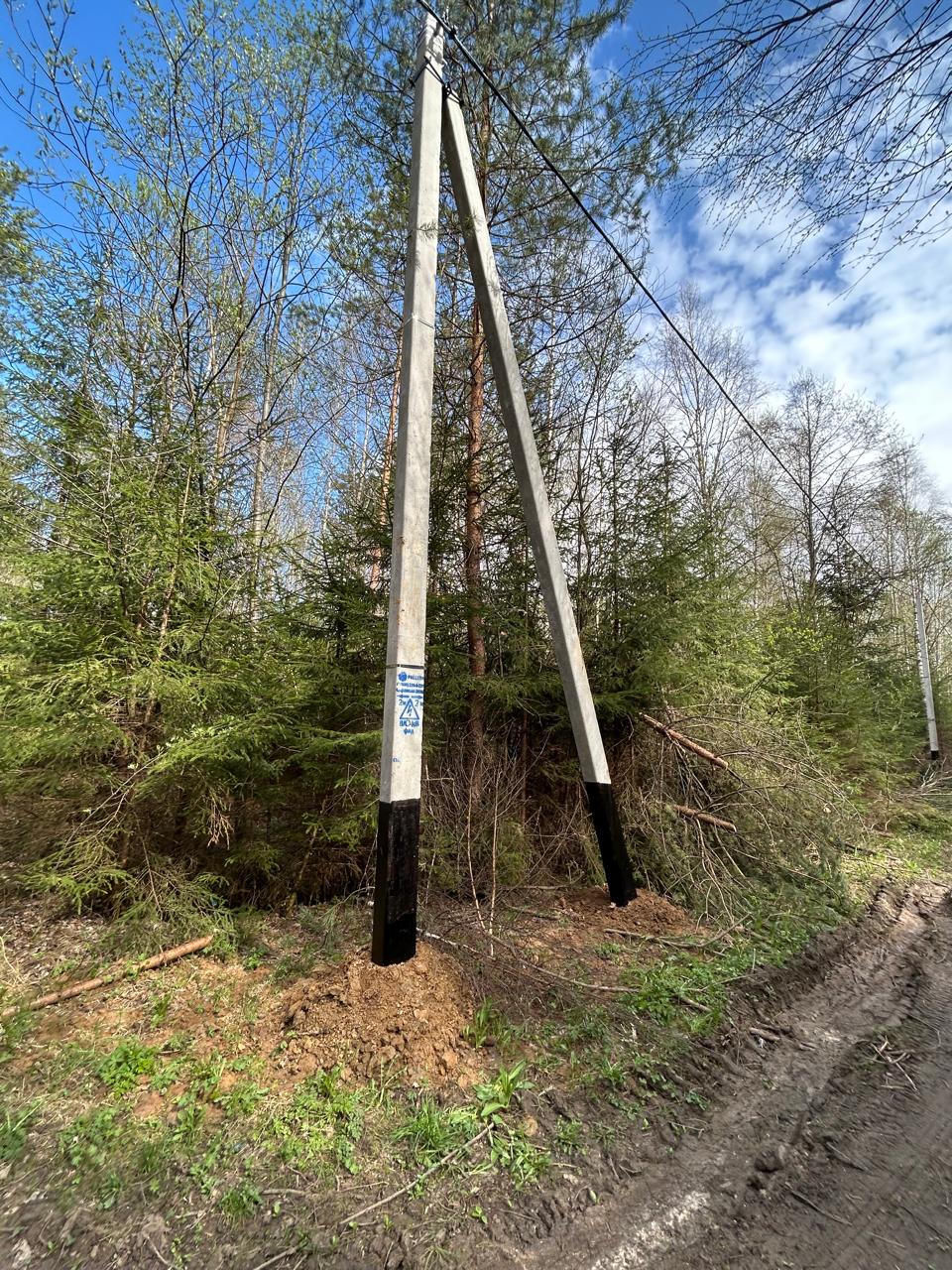 Установленные железобетонные опоры ЛЭП в лесной зоне деревни Гавшинка