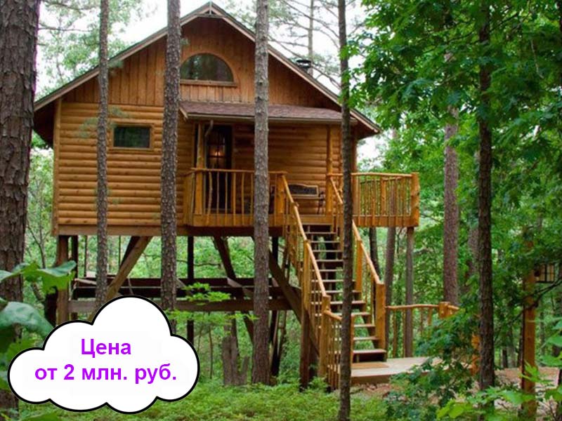 большой дом на дереве