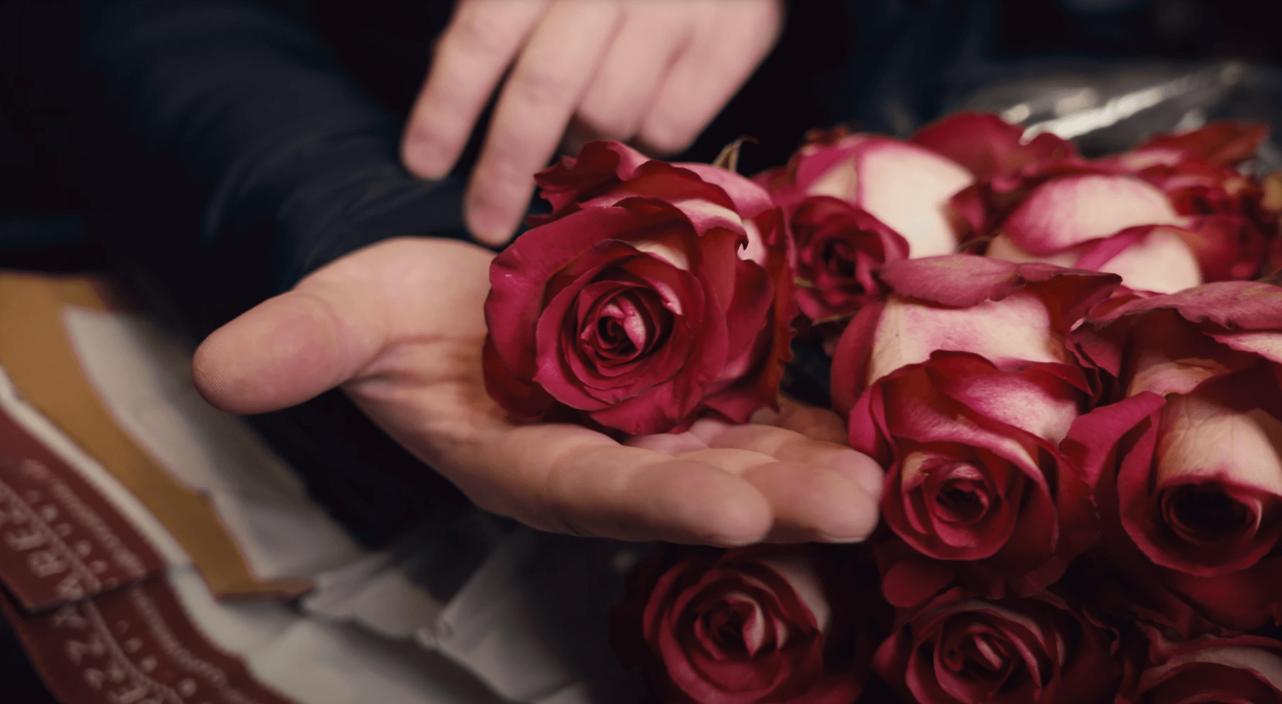 Качество и характеристики розы